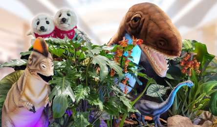 Zoo der Kuscheltiere