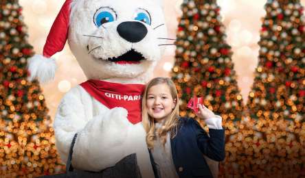 Christmas time